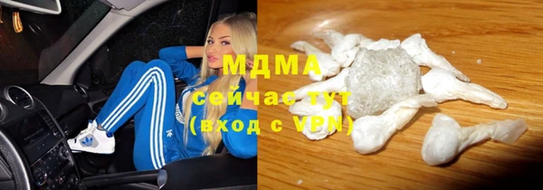 прущие грибы Богданович