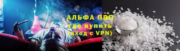 прущие грибы Богданович