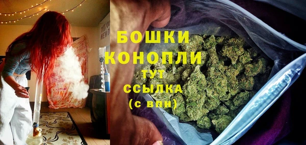 прущие грибы Богданович