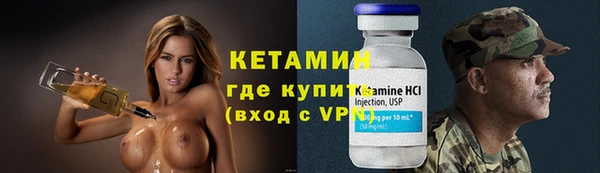 прущие грибы Богданович