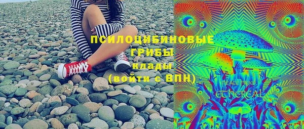 прущие грибы Богданович
