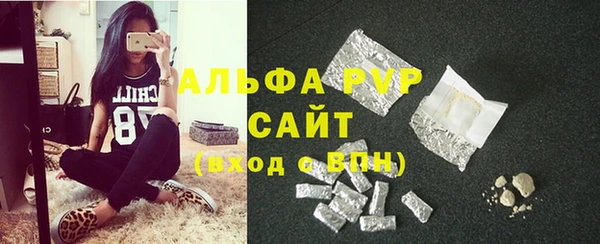прущие грибы Богданович