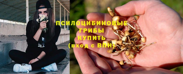 стаф Белокуриха