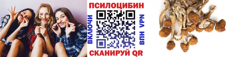 продажа наркотиков  Острогожск  kraken зеркало  Галлюциногенные грибы GOLDEN TEACHER 