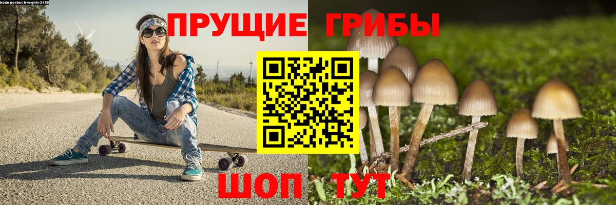 Псилоцибиновые грибы Cubensis Острогожск