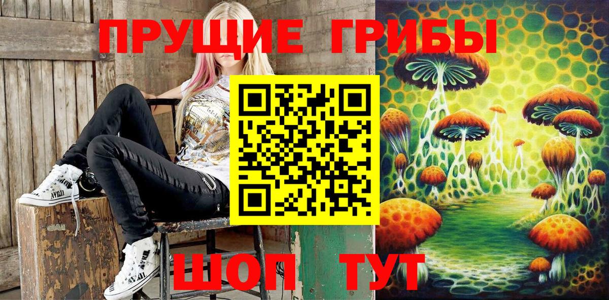 Псилоцибиновые грибы Psilocybe  Вход с VPN  Псилоцибиновые грибы Magic Shrooms  Острогожск 